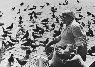 Голуби. Продавщица семечек / Виктор Ахломов (1965)