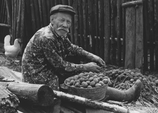 Дедушка с картошкой / Виктор Ахломов (1967)
