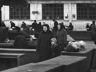 Женские судьбы / Михаил Дашевский (1972)
