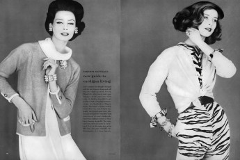 Anna-Carin Bjorck by Jerry Schatzbergi / Vogue USA (1960.02/2)