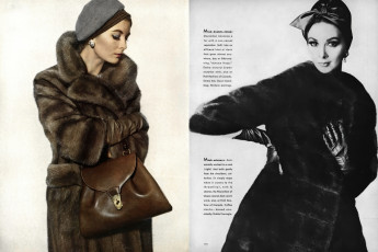 Wilhelmina Cooper by Irving Penn / Vogue USA (1961.12)