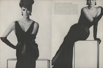 Wilhelmina Cooper by Irving Penn / Vogue USA (1963.03)