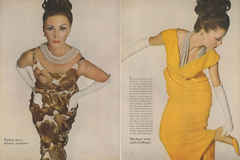Wilhelmina Cooper by Irving Penn / Vogue USA (1963.03)
