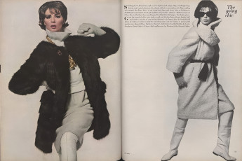 Wilhelmina Cooper by Bert Stern / Vogue USA (1963.10/2)