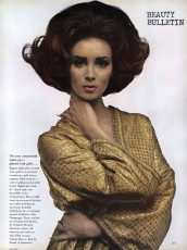 Wilhelmina Cooper by Bert Stern (Vogue USA 1964.09)