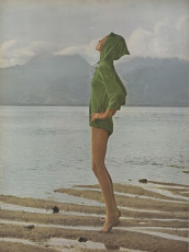 Birgitta af Klercker by Norman Parkinson / Vogue USA (1965.05)
