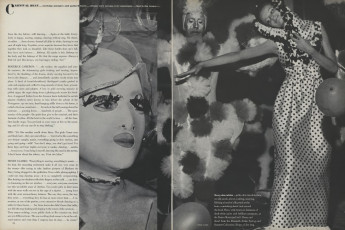 Veruschka by Henry Clarke / Vogue USA (1965.06)