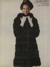 Editha Dussler by Bert Stern (Vogue USA 1966.09/2)