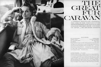 Veruschka by Richard Avedon (Vogue USA 1966.10/2)