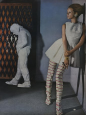 Veruschka by Bert Stern (Vogue USA 1966.11/2)