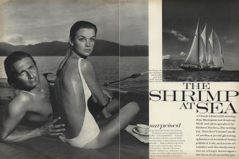 Jean Shrimpton, Jeanloup Sieff by Richard Avedon (Vogue USA 1967.01/2)