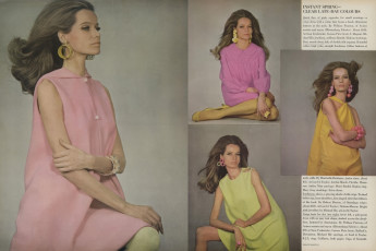 Veruschka by Franco Rubartell (Vogue USA 1967.03/2)