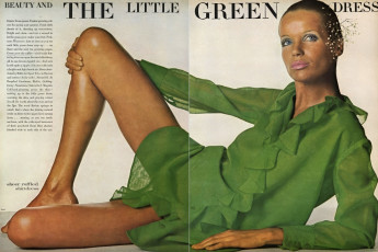 Veruschka by Irving Penn (Vogue USA 1968.04)