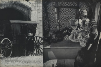 Veruschka by Franco Rubartelli (Vogue USA 1968.08/2)