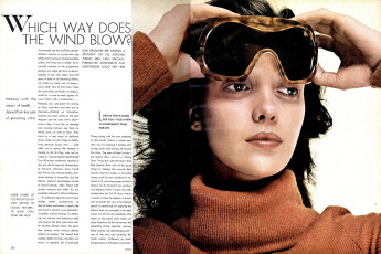 Donna Mitchell by Richard Avedon
/ Vogue USA (1971.09)