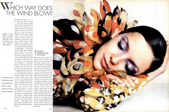 Donna Mitchell by Richard Avedon
/ Vogue USA (1971.09)