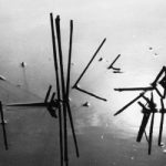 Lucien Clergue: Landscapes, Camargue, Marshes